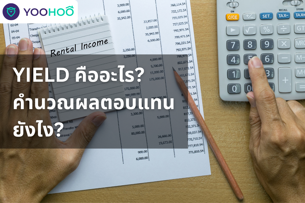 นักลงทุนมือใหม่ควรรู้ YIELD คืออะไร? คำนวณผลตอบแทนยังไง?